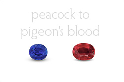 From Peacock to Pigeon's Blood • Lotus Gemology Color Types